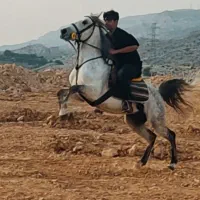 اسبه کرد