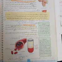 کمترین قیمتد تدریس آنلاین تمام دروس حفظی ابتدایی و