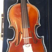 ویلن TF  مدل 800