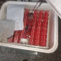 دستگاه جوجه کشی ایزی باتور 2 ، باظرفیت 96 عددی