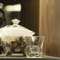 کارمند خانم خانه داری منزل