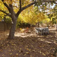 اجاره روزانه خانه باغ قلات بافت قدیم|اجارهٔ کوتاه‌مدت ویلا و باغ|شیراز, قلات|دیوار