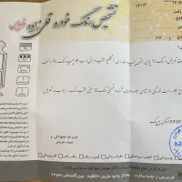 نیسان آپشنال ۱۴۰۰|خودرو سواری و وانت|کرج, شهرک بنفشه|دیوار