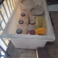 یک یخچال و یک عدد وان ماهی.. فروشی.