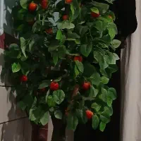 درخت سیب مصنوعی