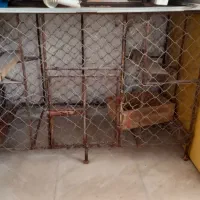 قفس آهنی بزرگ|لوازم جانبی حیوانات|بندر ماهشهر, |دیوار