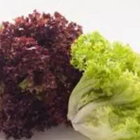 استخدام خانم