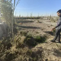 زمین پیشوا|فروش زمین و ملک کلنگی|شریف‌آباد, |دیوار