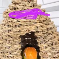 فروش لانه پرنده|لوازم جانبی حیوانات|تهران, سبلان (لشگر)|دیوار