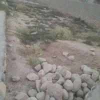 زمین 359 متری نزدیک بنه گز|فروش زمین و ملک کلنگی|اهرم, |دیوار