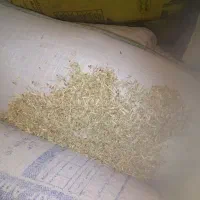 خارشتر نرم وسبز و دونه دار|حیوانات مزرعه|قوچان, |دیوار