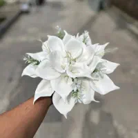 دسته گل ،تزیین ماشین،چمدون عروس