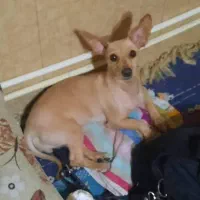 گمشده، حصارسرخ شاندیز، مژدگانی ۱۰م