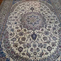 کارگر وارد قالیشویی