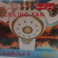 شادگان