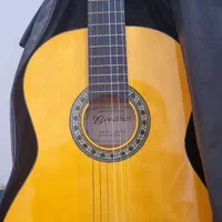 گیتار گودمن