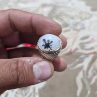 انگشتر شجر|جواهرات|تهران, خلیج فارس|دیوار