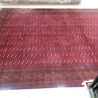 فرش دستبافت|فرش|بیرجند, |دیوار