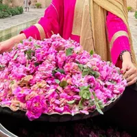 دربستی سیاحتی زیارتی قم کاشان از تهران|خدمات حمل و نقل|تهران, نظام‌آباد|دیوار