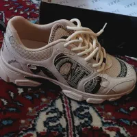 کفش|کیف، کفش، کمربند|بانه, |دیوار