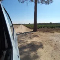 زمین کشاورزی|فروش دفتر صنعتی، کشاورزی، تجاری|نجف‌آباد, جوزدان|دیوار