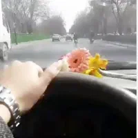 سرویس مدرسه و شرکت پذیرفته می‌شود