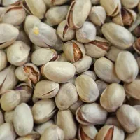 نیروی جوان آقا