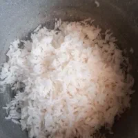 برنج پاکستانی باسماتی به قیمت تعاونی (طرح حمایتی)|خوردنی و آشامیدنی|تبریز, |دیوار