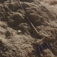 علف|حیوانات مزرعه|دیواندره, |دیوار