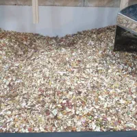 خوراک پرنده +گرینچیک پرنده ++