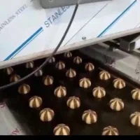 طراح،وسازنده،ماشین آلات کلوچه،بیسکوییت|ماشین‌آلات صنعتی|کرج, شهرک صنعتی بهارستان فاز ۲|دیوار