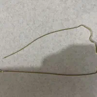 طلای درحد نو|جواهرات|قزوین, |دیوار