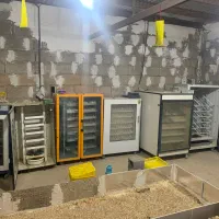 دستگاه جوجه کشی