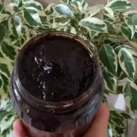 رب آلوچه شمال