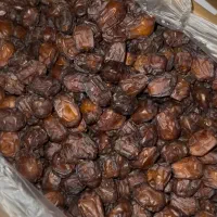 فروش مستقیم انواع خرما بدون واسطه از باغدار|عمده‌فروشی|تهران, تختی|دیوار