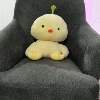 مبلمان شرکتی نو|مبلمان خانگی و میز عسلی|ساوه, |دیوار