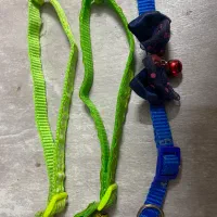 قلاده نونو|لوازم جانبی حیوانات|اصفهان, میرعماد|دیوار