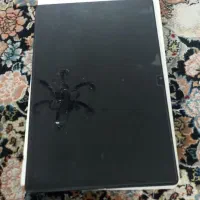 تبلت Galaxy Tab A8
