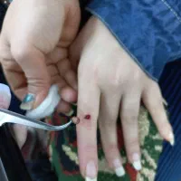 خالبرداری اصولی بدون بازگشت