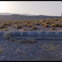 زمین-دهبکری-سرپشت