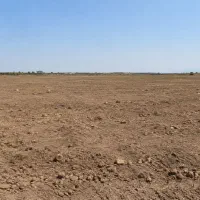 زمین-فروشی