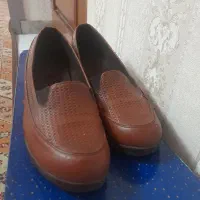 کفش زنانه|کیف، کفش، کمربند|رشت, منظریه|دیوار