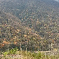 زمین داخل بافت مسکونی سنددار هچیرود