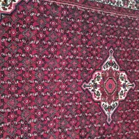 فرش دست دو|فرش|اسدآباد, |دیوار