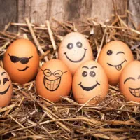 منشی و ویزیتور تلفنی