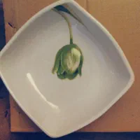 سرویس ناهارخوری نو خارجی