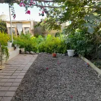 باغ بانی