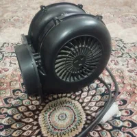 فن حلزونی مشکی