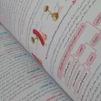 کتاب زیست جامع به همراه پاسخنامه ۱۴۰۳|کتاب و مجله آموزشی|رشت, عینک|دیوار
