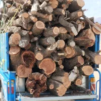 خرید چوب|خدمات باغبانی و درختکاری|یزد, |دیوار